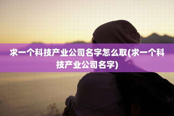 求一个科技产业公司名字怎么取(求一个科技产业公司名字)