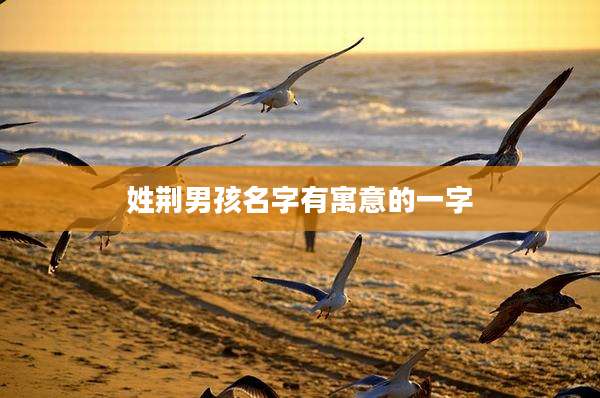 姓荆男孩名字有寓意的一字