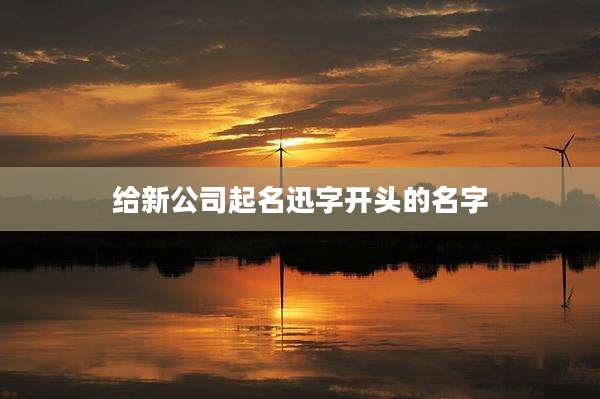 给新公司起名迅字开头的名字