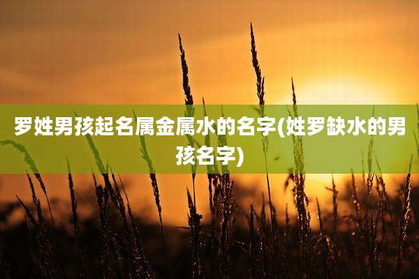 罗姓男孩起名属金属水的名字(姓罗缺水的男孩名字)