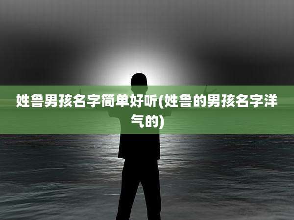 姓鲁男孩名字简单好听(姓鲁的男孩名字洋气的)
