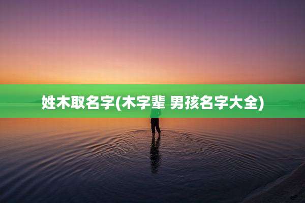 姓木取名字(木字辈 男孩名字大全)