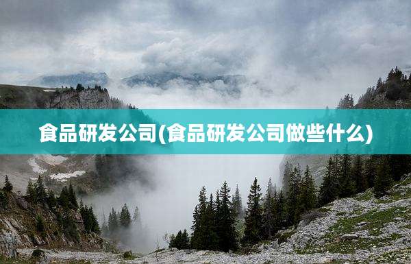 食品研发公司(食品研发公司做些什么)