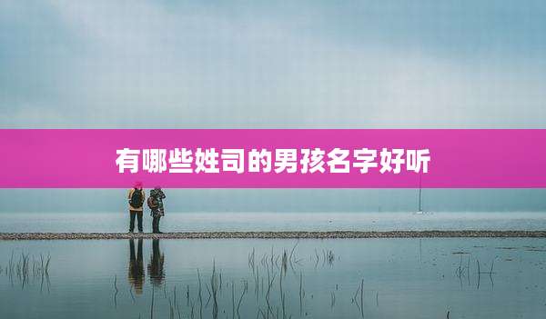有哪些姓司的男孩名字好听