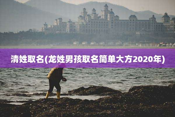 清姓取名(龙姓男孩取名简单大方2020年)