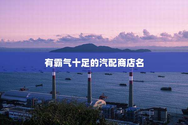 有霸气十足的汽配商店名