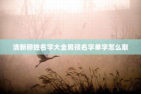 清新穆姓名字大全男孩名字单字怎么取