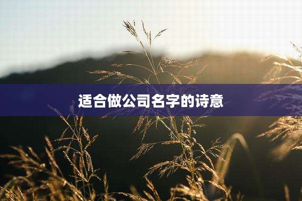 适合做公司名字的诗意