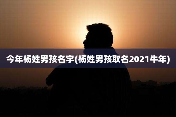 今年杨姓男孩名字(杨姓男孩取名2021牛年)