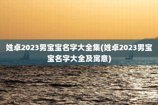 姓卓2023男宝宝名字大全集(姓卓2023男宝宝名字大全及寓意)