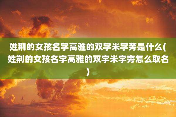 姓荆的女孩名字高雅的双字米字旁是什么(姓荆的女孩名字高雅的双字米字旁怎么取名)