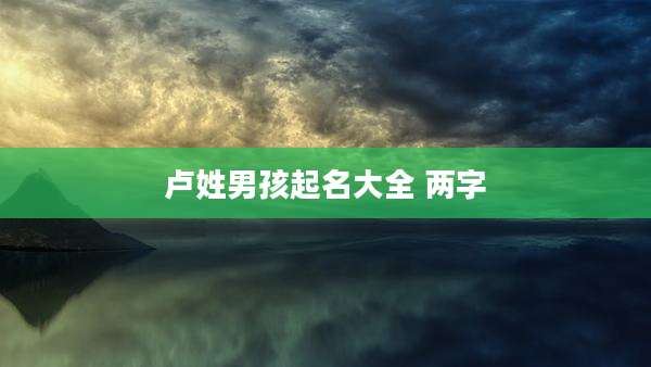 卢姓男孩起名大全 两字