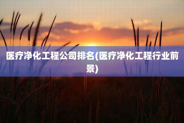医疗净化工程公司排名(医疗净化工程行业前景)