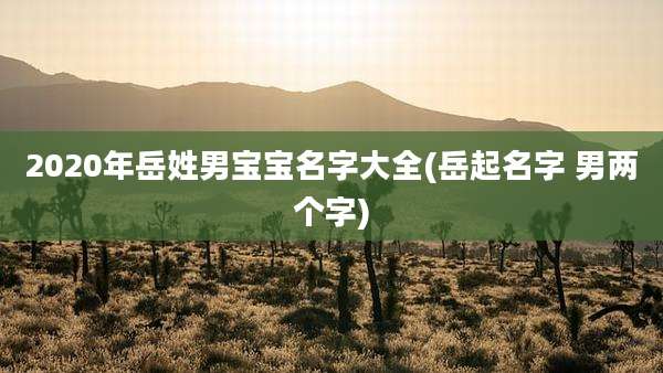 2020年岳姓男宝宝名字大全(岳起名字 男两个字)