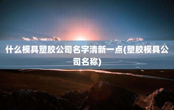 什么模具塑胶公司名字清新一点(塑胶模具公司名称)
