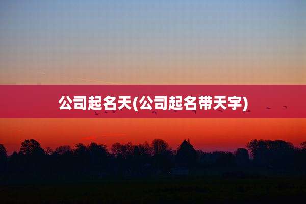 公司起名天(公司起名带天字)