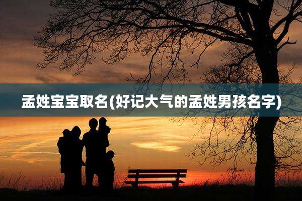 孟姓宝宝取名(好记大气的孟姓男孩名字)