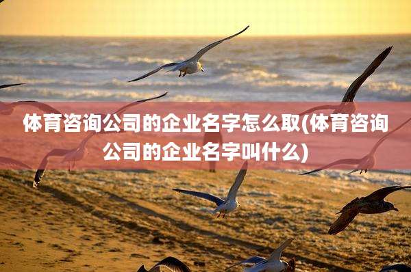 体育咨询公司的企业名字怎么取(体育咨询公司的企业名字叫什么)