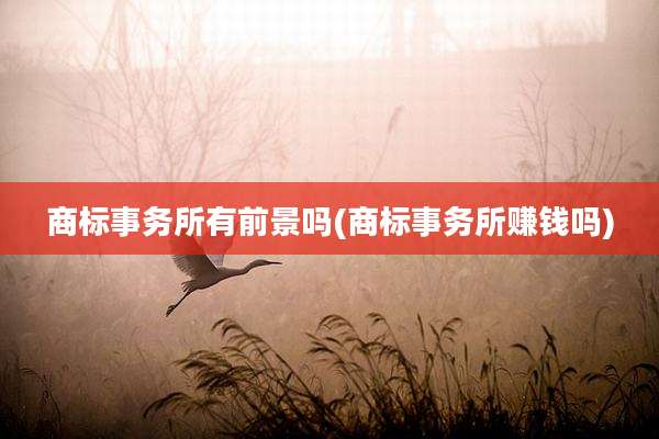 商标事务所有前景吗(商标事务所赚钱吗)
