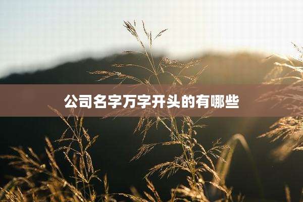 公司名字万字开头的有哪些
