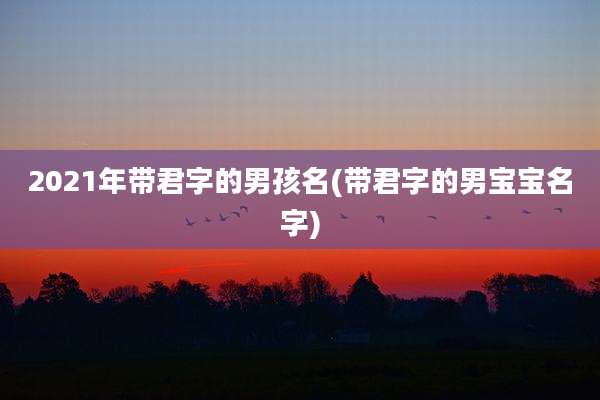 2021年带君字的男孩名(带君字的男宝宝名字)