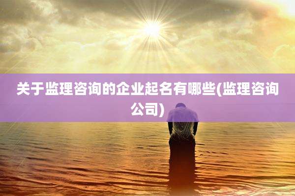 关于监理咨询的企业起名有哪些(监理咨询公司)