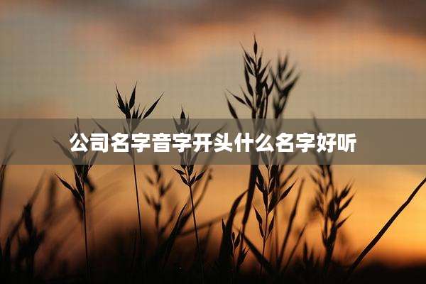 公司名字音字开头什么名字好听