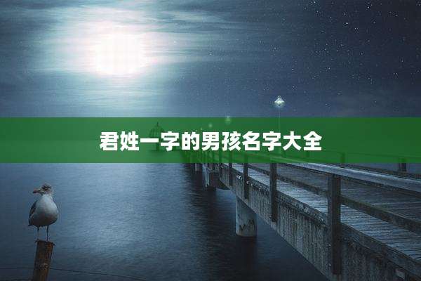 君姓一字的男孩名字大全
