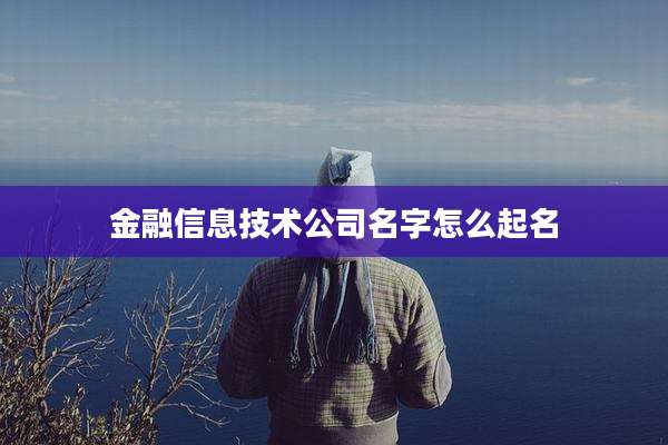 金融信息技术公司名字怎么起名