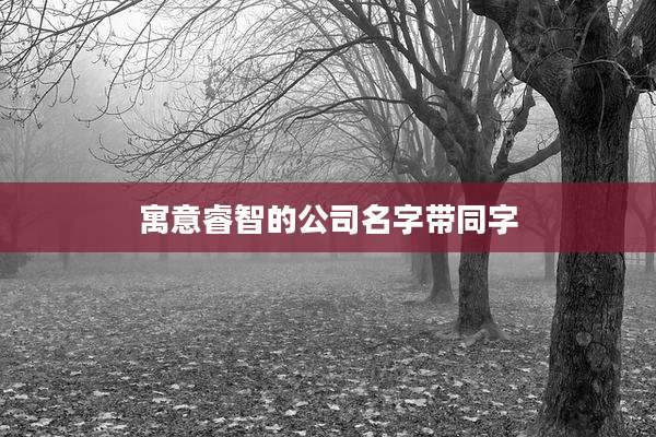 寓意睿智的公司名字带同字