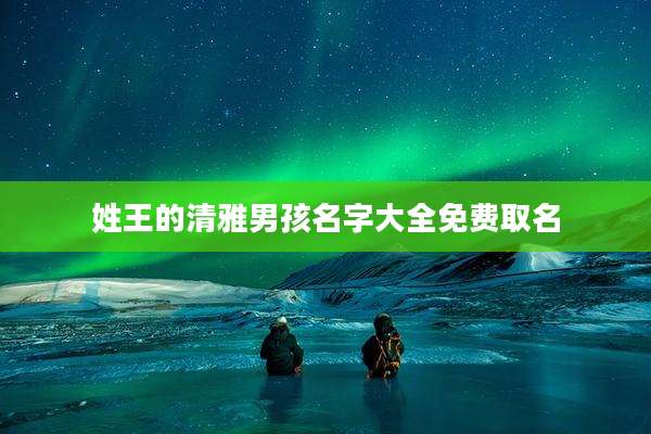 姓王的清雅男孩名字大全免费取名