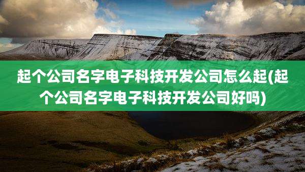 起个公司名字电子科技开发公司怎么起(起个公司名字电子科技开发公司好吗)