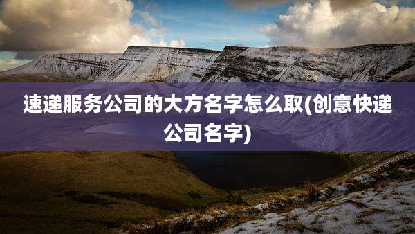 速递服务公司的大方名字怎么取(创意快递公司名字)