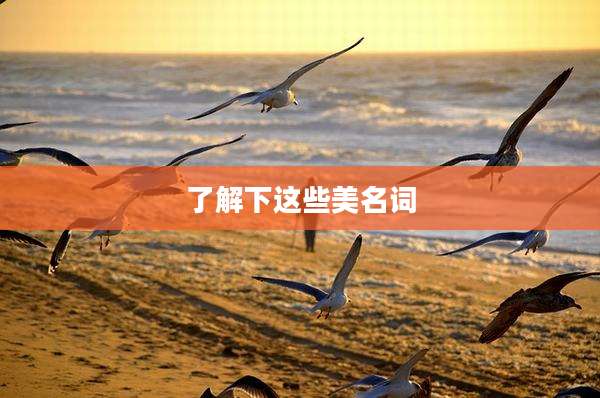 了解下这些美名词