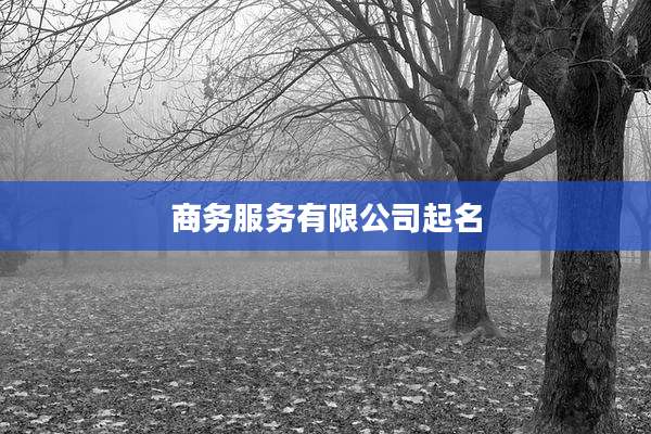 商务服务有限公司起名