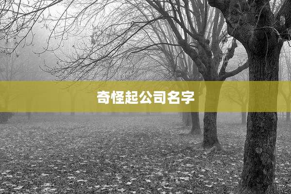 奇怪起公司名字