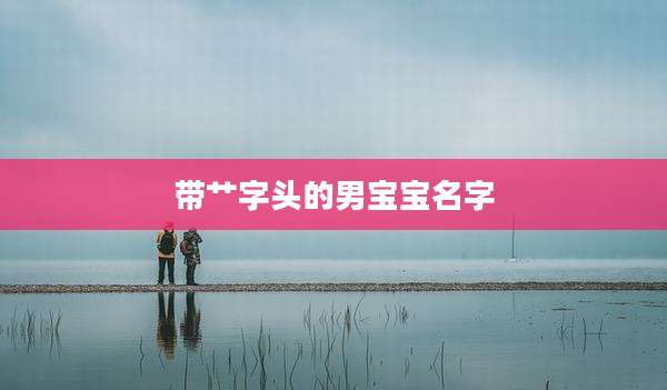 带艹字头的男宝宝名字