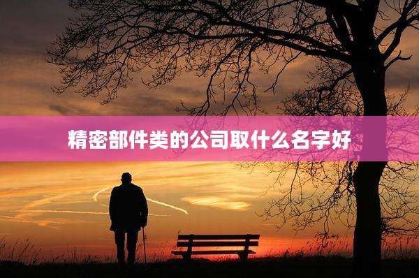 精密部件类的公司取什么名字好