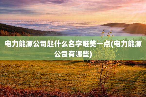 电力能源公司起什么名字唯美一点(电力能源公司有哪些)