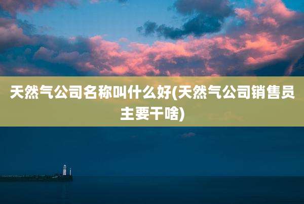 天然气公司名称叫什么好(天然气公司销售员主要干啥)