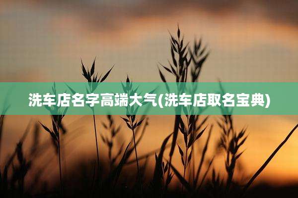洗车店名字高端大气(洗车店取名宝典)