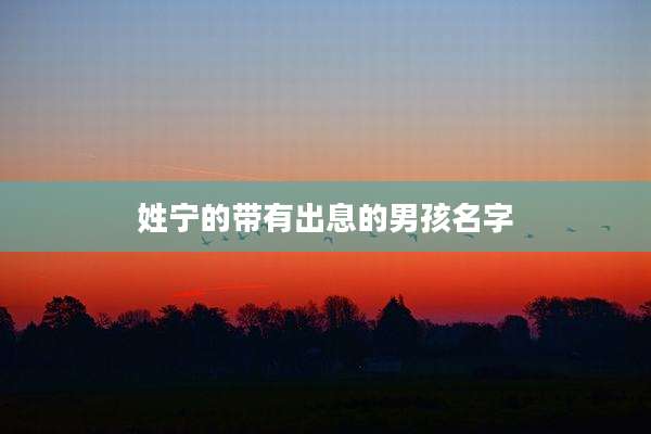 姓宁的带有出息的男孩名字