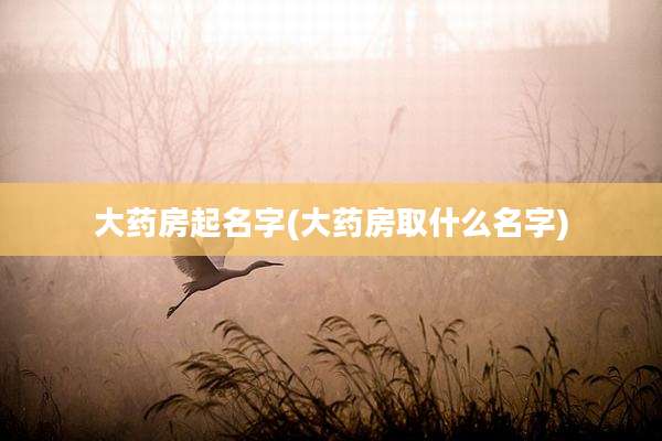 大药房起名字(大药房取什么名字)