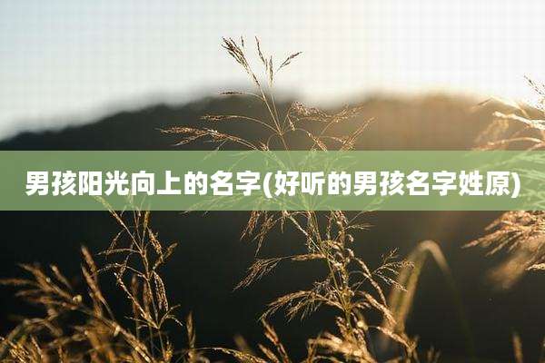 男孩阳光向上的名字(好听的男孩名字姓原)