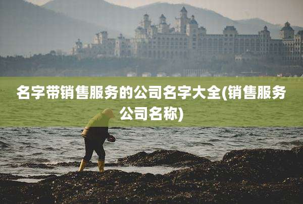 名字带销售服务的公司名字大全(销售服务公司名称)