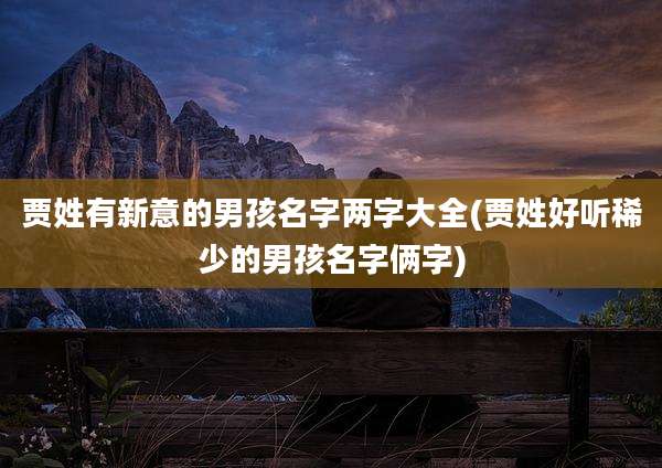 贾姓有新意的男孩名字两字大全(贾姓好听稀少的男孩名字俩字)