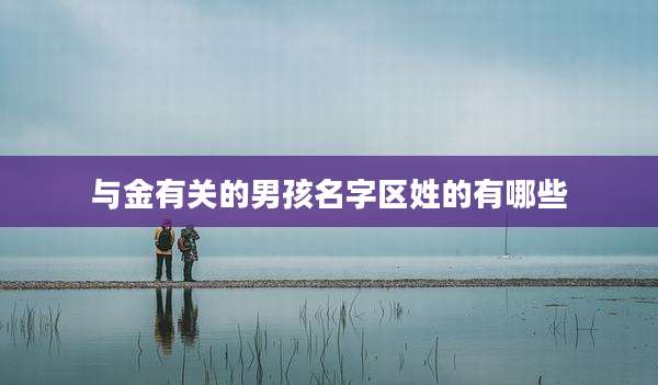 与金有关的男孩名字区姓的有哪些