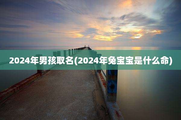 2024年男孩取名(2024年兔宝宝是什么命)