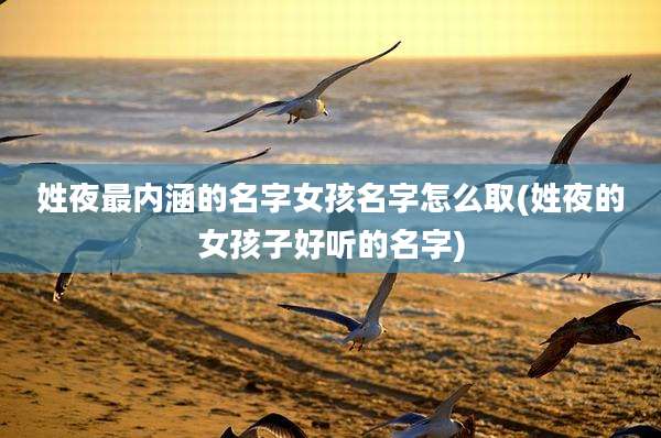 姓夜最内涵的名字女孩名字怎么取(姓夜的女孩子好听的名字)