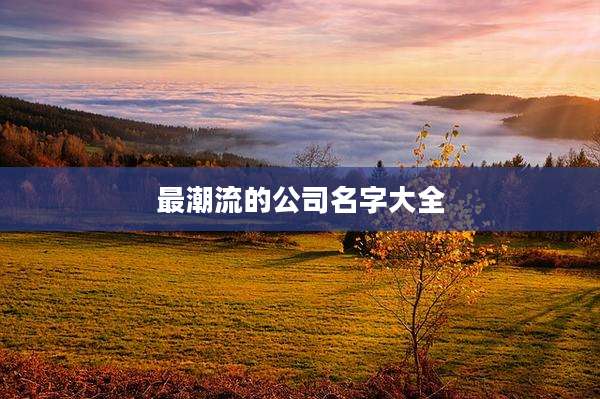 最潮流的公司名字大全